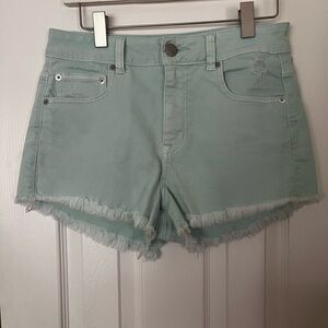 American Eagle Outfitters Green Jean Shorts Distressed Frayed Hem